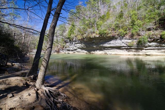 William B. Bankhead National Forest